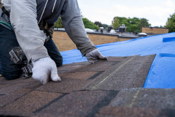 Roof Insulation in Sanford, CO